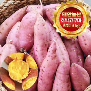 건강한 태안! 안면도 호박고구마 한입(50g~100g) 3kg