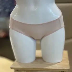 [대구백화점] [비너스]무지 기본 순면100% 여성팬티(VPT6940SM)