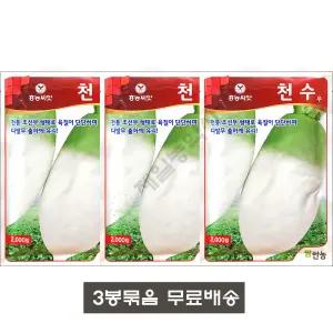 천수무씨앗 2000립 팜한농 25년 3봉묶음 당일발송 김장씨앗 무씨앗