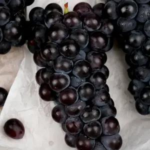 영동 캠벨 포도 1kg(3-5수)