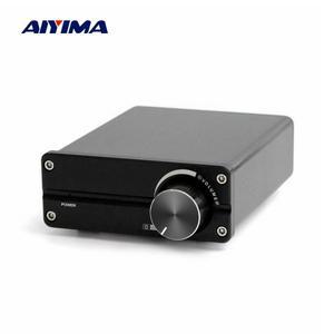 AIYIMA 가정용 패시브 스피커용 서브 우퍼 앰프, 클래스 D 미니 파워 오디오 모노 100W TPA3116