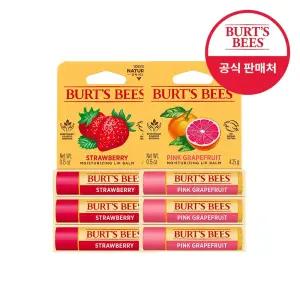 버츠비 립밤X6