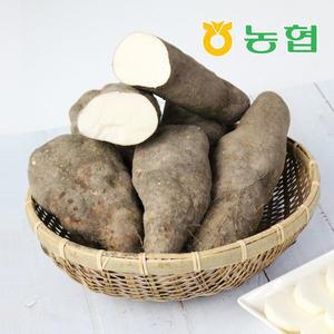 [친환경팔도][북안동농협] 안동 산마 (상)5kg
