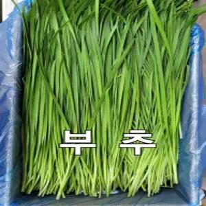 부추 나주 부추 4kg 박스 야채맘