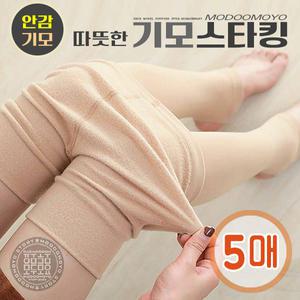 직장인 겨울 팬티스타킹 기모 5매 여성 여자 학생 기모스타킹