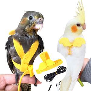 [모두모아]앵무새 반려새 하네스 발목링 산책 리드줄 앵무새발목링 앵무새새장 앵무새장난감 앵무새집 날림