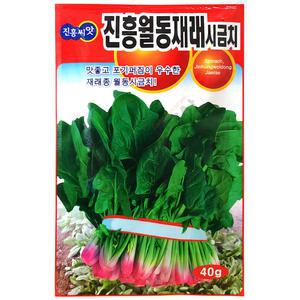 진흥월동재래시금치 40g 진흥 25년 시금치씨앗