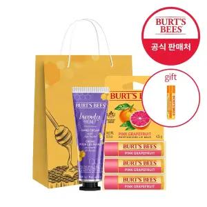 버츠비 립밤X3+핸드크림