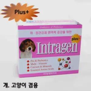 인트라젠 플러스(plus+) 스틱 (2gx30p) 인트라젠 플러스 plus 스틱 영양제 강아지 건강 관리용품 반려동물