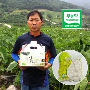 [죽곡토란]곡성 무농약 깐토란 1kg /25년 햇토란 수확시작~