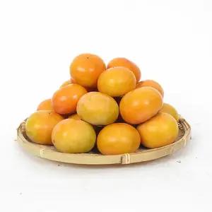 경남단감 10kg(61-70과)