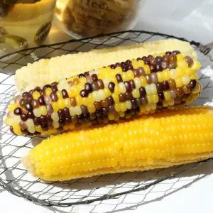기장찰옥수수 신선하게 삶아낸 냉동 찰옥수수 다양한 맛과 품종 (홍찰, 백찰, 알록이, 황찰)