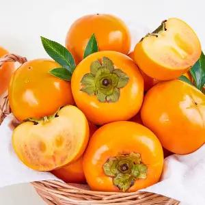 아삭아삭 진영 단감 10kg 특대 (45-48과 내외)