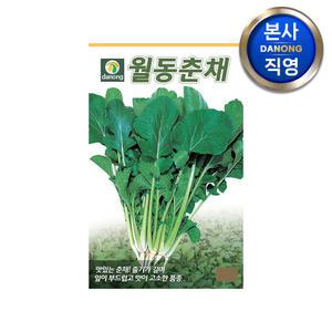 월동 춘채 씨앗 500g . 겨울초 삼동초 하루나 야채 채소 씨 종자 텃밭