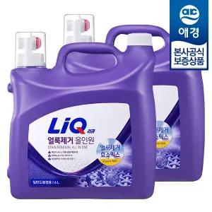리큐 얼룩제거 올인원 세탁세제 6L x2개
