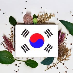 태극기 게양용 한국 국기 싱글 미니 깃발 배너 대한민국 응원 (9-1호 60x40 2개)