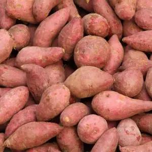 무농약 해남 베니하루카 세척 고구마 한입 10kg