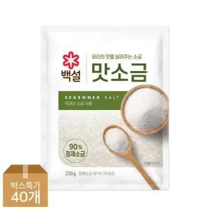 [CJ]백설 맛소금250g x40개