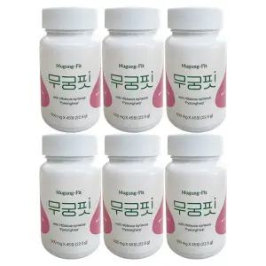무궁핏 정 무궁화 평화 22.5g 500mg x 45정 6개 / 써클
