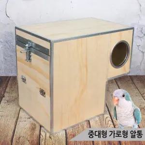 중대형 가로형 알통 앵무새 코뉴어 퀘이커 번식용 A28