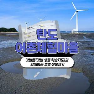 [2025 경기바다] 탄도어촌체험마을 갯벌맵 들고 떠나는 생태 탐험