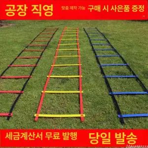 감각통합 용품 스탭래더 순발력훈련 고정형
