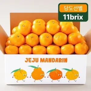 제주 중문농협 하우스 감귤 2.5kg (11Brix이상)