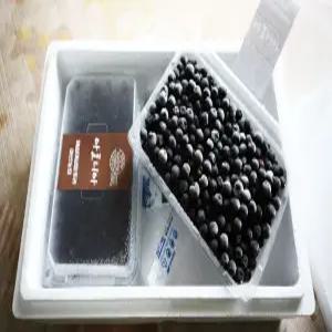 급속냉동아로니아 2kg