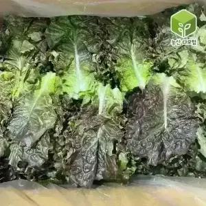 적상추(특) 4kg
