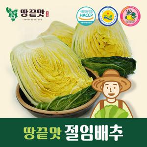 [땅끝맛]절임배추 10kg HACCP 깨끗하고 맛있게절인 김장배추