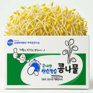 [무농약 국산콩] 산소 콩나물  2kg