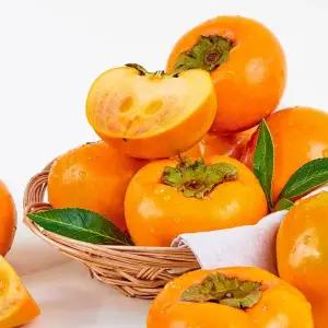 [명절이후 출고] 프리미엄 제철과일 아삭달콤 진영단감 5kg 10kg