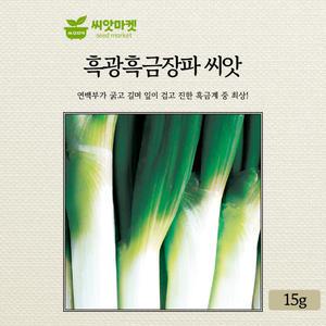 KS종묘 흑광흑금장 대파 씨앗 15g 연백부가 굵고 길며 잎이 검고 흑금계 중 최상급인 내병계 우수 품종