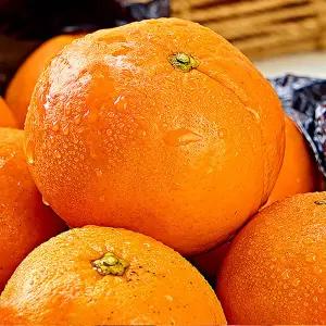 제주 하우스 감귤 대과 중과 10kg 제철 달콤 제주감귤