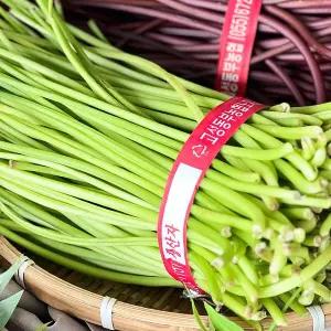 [하라네]고성 고구마순 잎제거 고구마줄기 청대 1kg