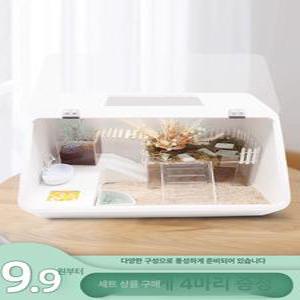 소라게키우기 사육 상자 대형 램프 패키지 달팽이