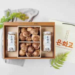 저온성 표고버섯 은화고 프리미엄 세트 생버섯700g+건버섯100g*2 무농약 친환경 우수농산물 [원산지:국산(부산광역시 남구)]