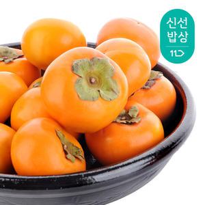 달콤아삭 햇 단감 3kg/5kg(가정용)