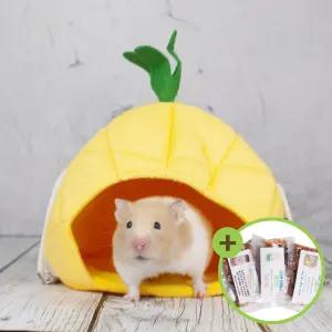 카르노 파인애플 해먹 햄스터 침대 은신처 RJ230