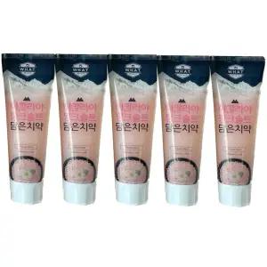 엘지생활건강 히말라야 핑크 솔트 담은 치약 100g (플로럴/민트) x 5개 / 써클