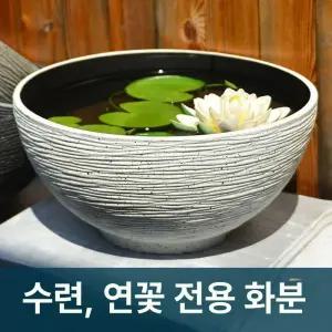 대형수반 연꽃옹기 화분 그릇 조경 초대형