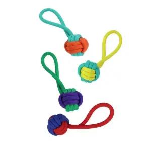 고품질 강아지 반려견 끈형 실타래 장난감 22cm X2개 (랜덤) (WCEC1C3)