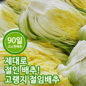 클라스가 다른 강원도 고랭지 절임배추 20kg