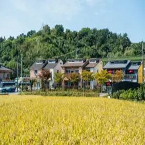 [전남 펜션] 순천 펜션호박펜션 (순천)