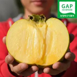 [GAP인증]아삭아삭 초고당도 창원 태추 단감 배감 1KG/2.5kg/5kg/10KG
