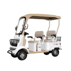 4륜 전동카트 골프카트 4인용 전동차 골프카 노인 전동스쿠터 캐디카 800W 60V