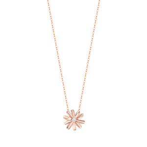 DAISLY 14K 목걸이 (JJDANQ5B3250R4420)