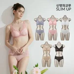 신영와코루 25최신상 시그니처핏 썸머 브라팬티 패키지