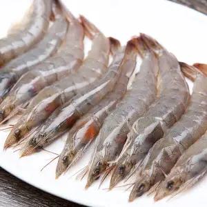당일 횟감가능 활 새우 1kg 45미내외(실링/빙장포장)