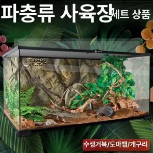 도마뱀 파충류 사육장 어메이징패드
